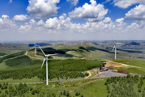 奥运史上首次实现所有场馆100%使用绿色电力